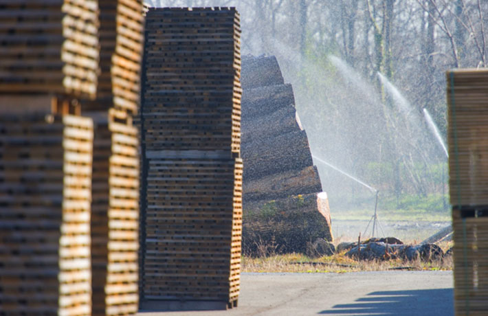 La forêt Française